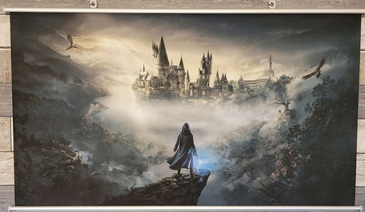 HOGWARTS LEGACY (TOILE MURALE)