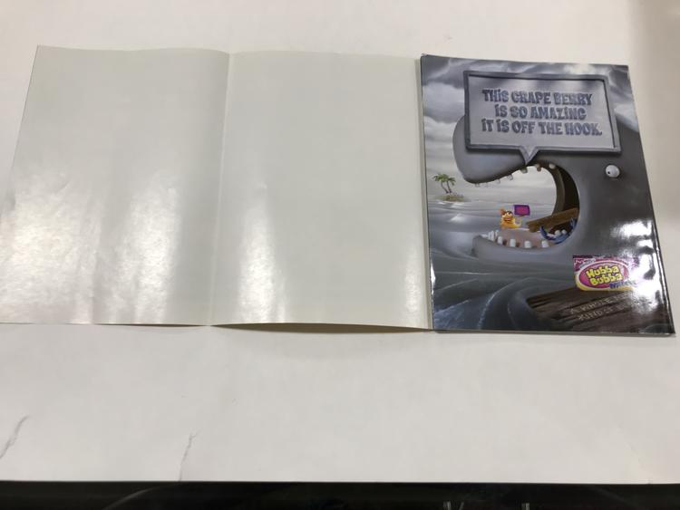 NINTENDO POWER GAMER MAGAZINE VOLUME 205 WITH POSTER - ZELDA PHANTOM HOURGLASS