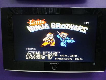 LITTLE NINJA BROTHERS