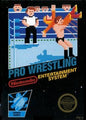 PRO WRESTLING