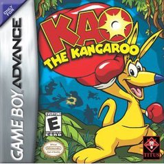 KAO THE KANGAROO (usagé)