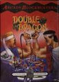 DOUBLE DRAGON (WITH BOX) (usagé)