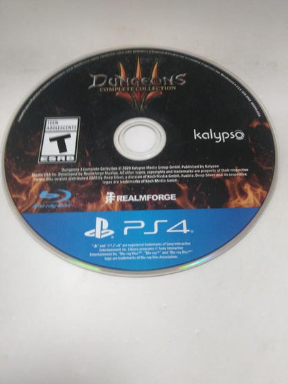 DUNGEONS 3
